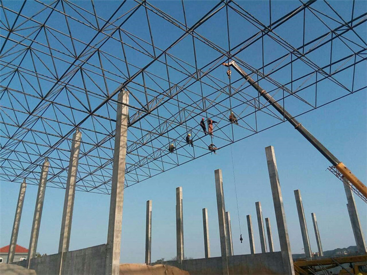 黑龙江加气站钢结构网架案例10